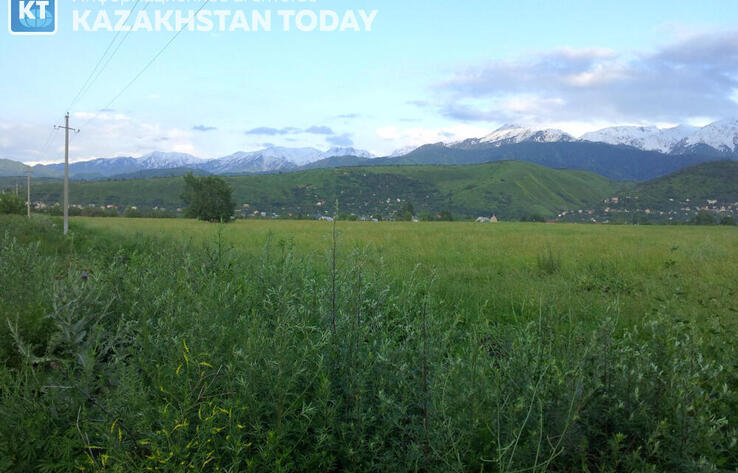 Земельные участки на сумму свыше 250 млн тенге вернули государству в ЗКО