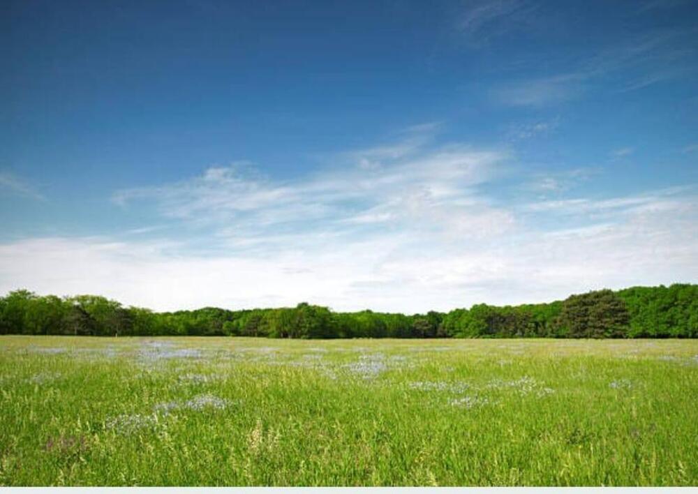 Батыс Қазақстан облысында 253 млн. теңгенің жер телімі мемлекетке қайтарылды