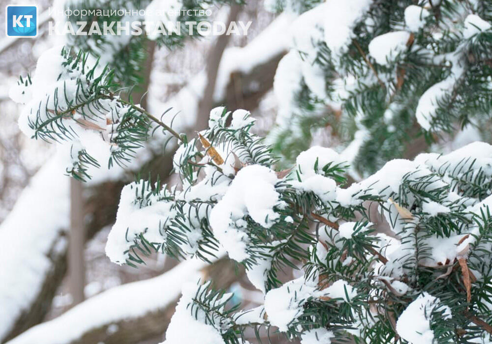 First snow fell in Almaty