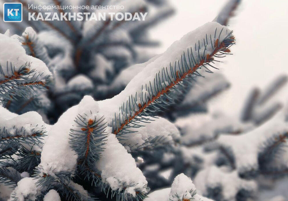 First snow fell in Almaty