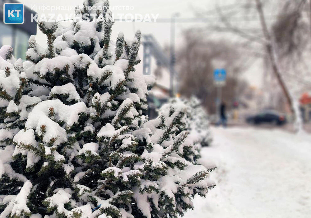 First snow fell in Almaty