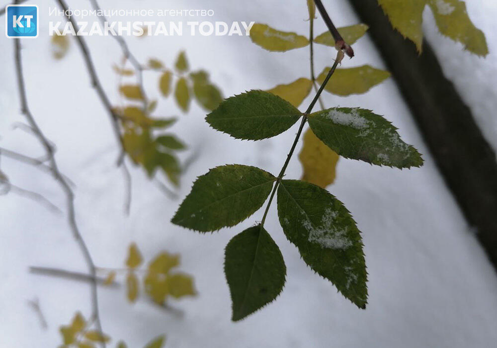 First snow fell in Almaty