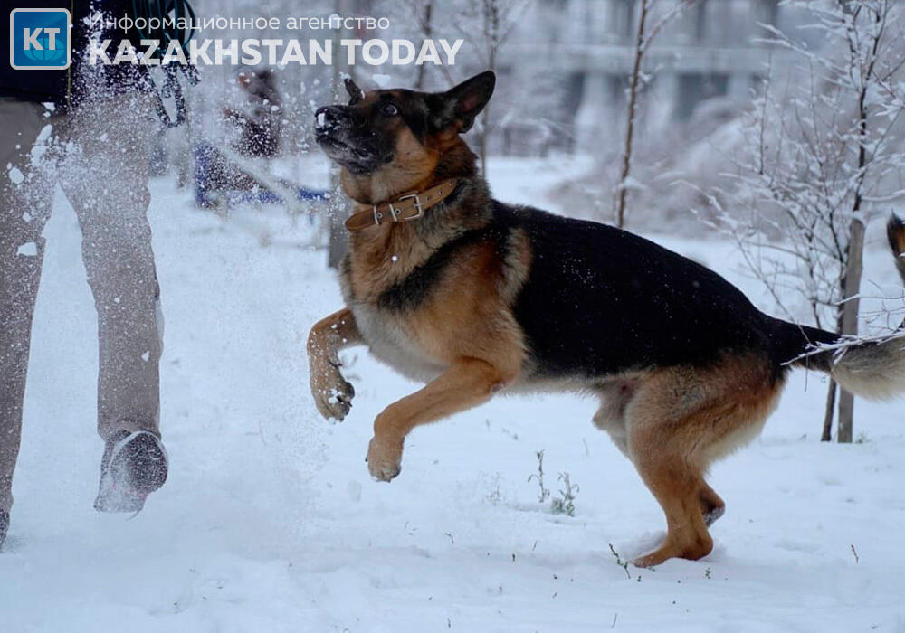 First snow fell in Almaty