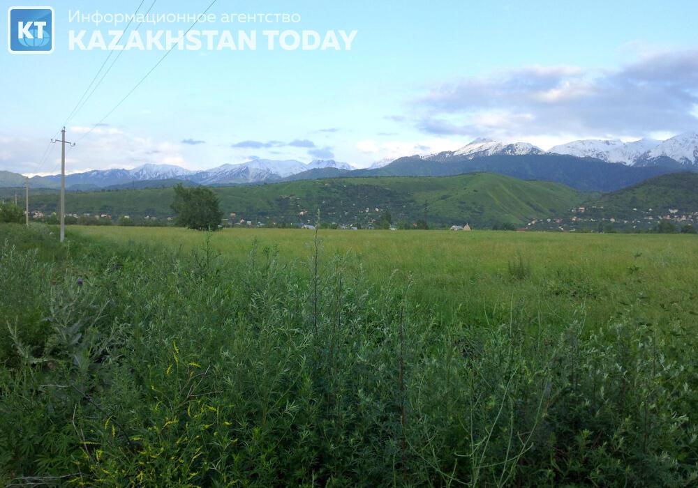 В Казахстане 10 млн га сельхозземель вернули в госсобственность
