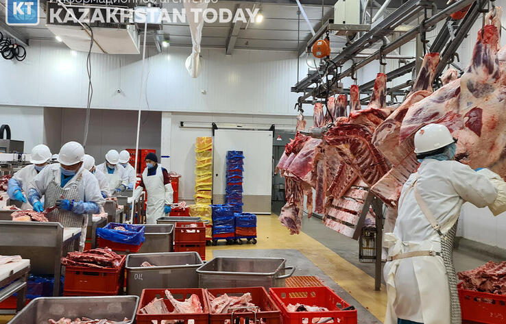 Қазақстанға ет импортының көлемі оның экспортынан 3 есе көп