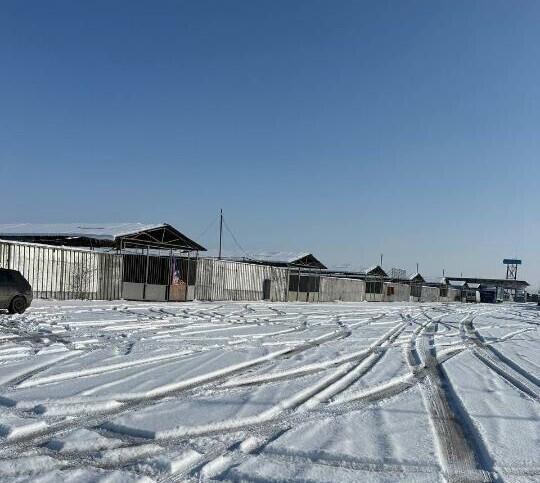 В Жамбылской области земли аффилированного с Болатом Назарбаевым рынка вернули государству
