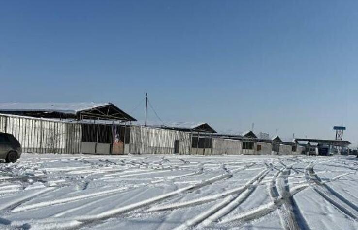 В Жамбылской области земли аффилированного с Болатом Назарбаевым рынка вернули государству
