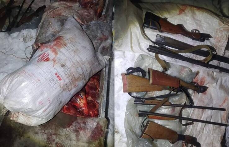 12 туш косуль изъяли у двух браконьеров в Павлодарской области 