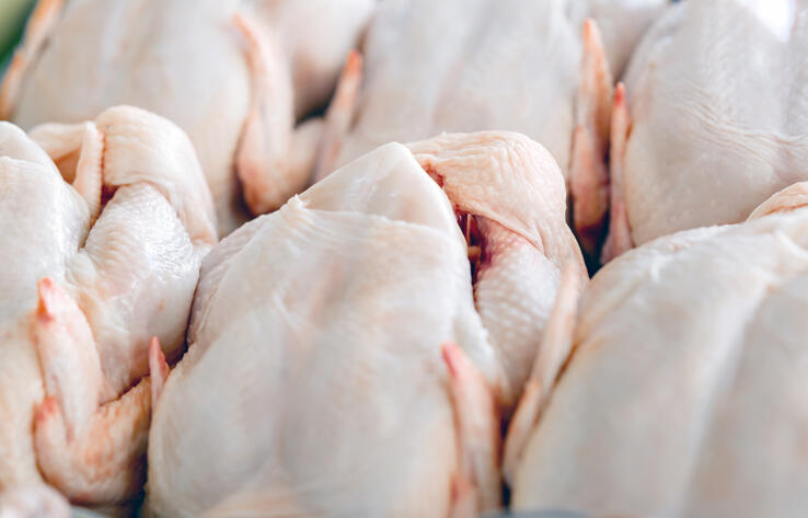 Казахстан планирует закрыть импортозависимость по мясу птицы к 2027 году 