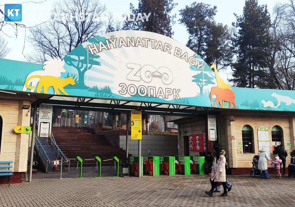 Как повели себя животные в зоопарке Алматы во время землетрясения