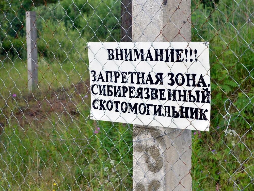 В области Жетысу выявили более 30 неизолированных бесхозных захоронений очагов сибирской язвы