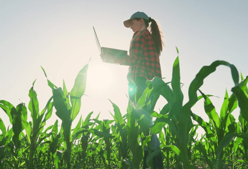 
Каждым четвертым сельхозпредприятием в Казахстане руководят женщины
