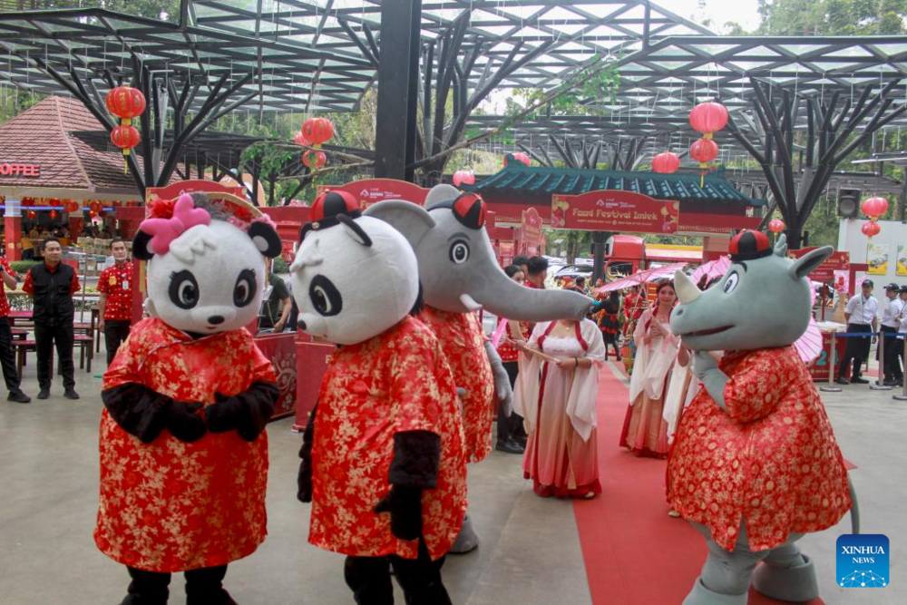 Зеленый дракон и красные фонарики: как отмечают китайский Новый год. Фото: Sandika Fadilah/Xinhua