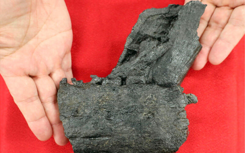 Tyrannosaurid jawbone fossil found for 1st time in Japan