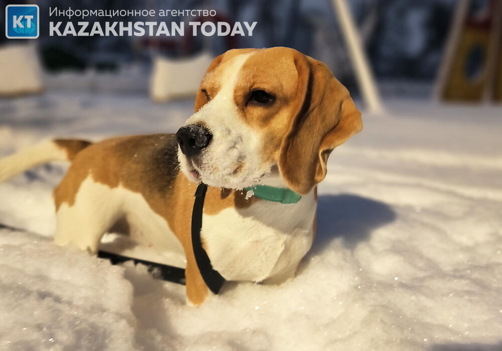 Almaty after a heavy snowfall