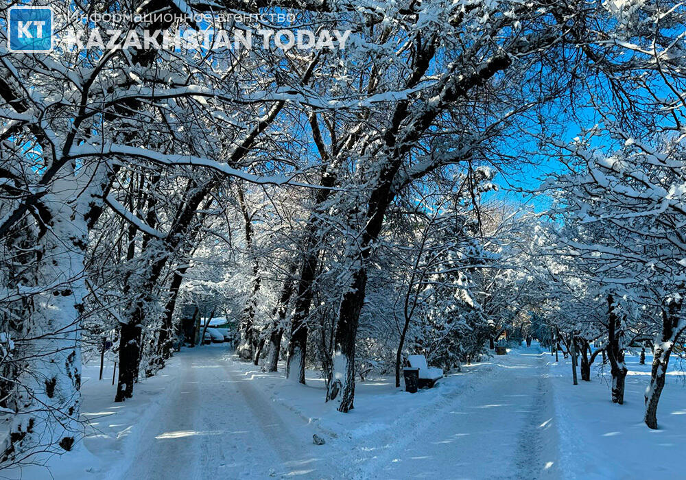 Алматы после сильного снегопада
