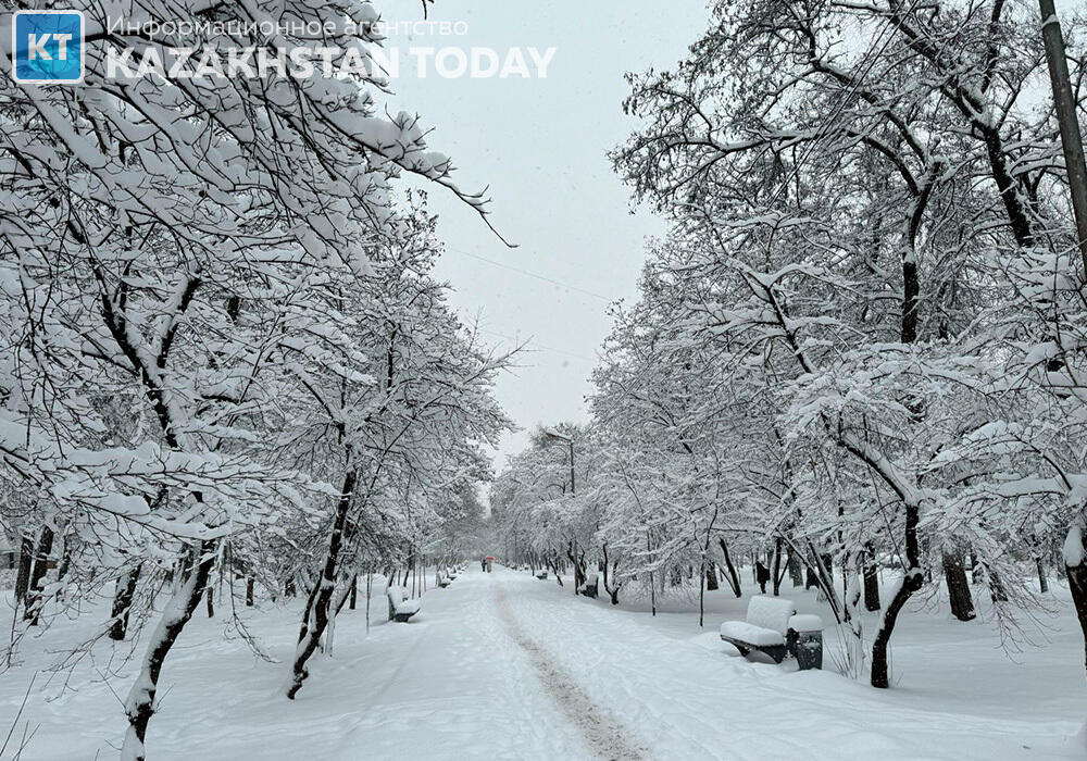Алматы қалың қардан кейін