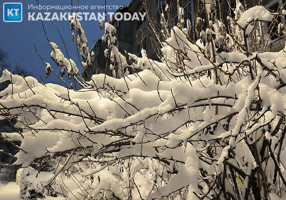 Алматы қалың қардан кейін