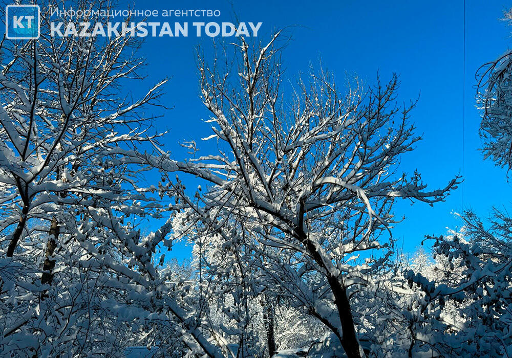 Алматы қалың қардан кейін