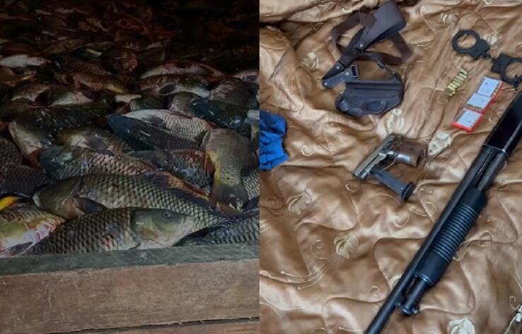 Три тонны рыбы и оружие изъяли у группы браконьеров в Алматинской области