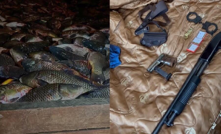 Алматы облысындағы браконьерлерден үш тонна балық пен қару тәркіленді