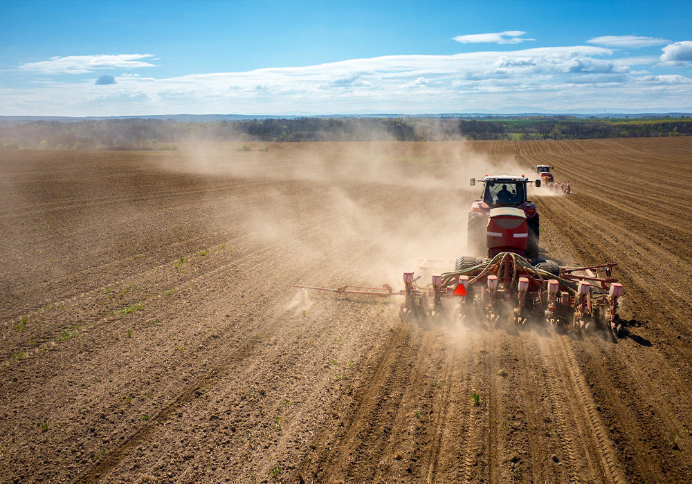 Сенатор просит правительство поддержать фермеров в период весенних полевых работ