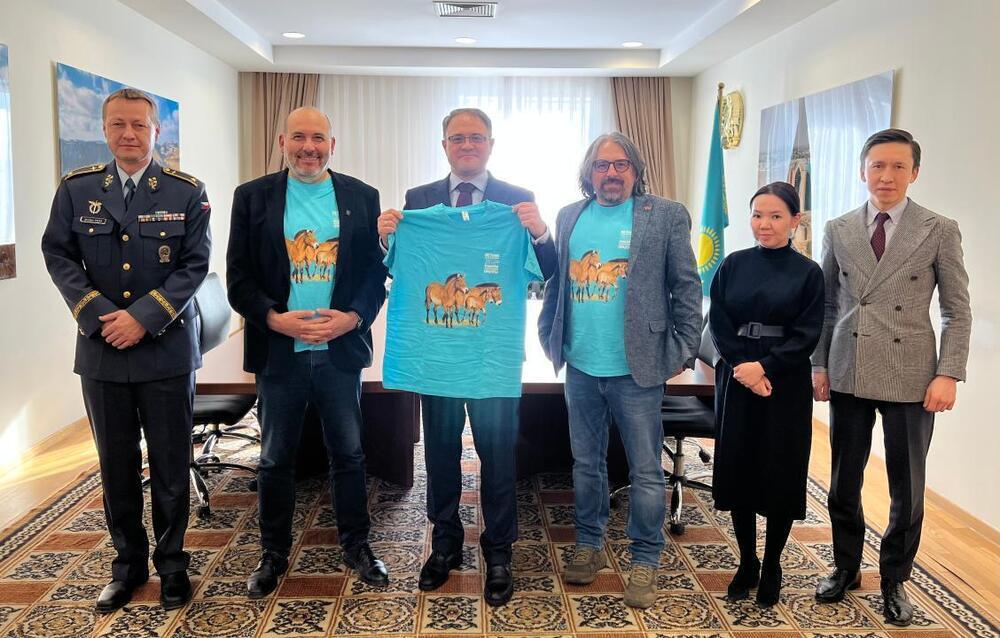 MFA Supports Project of Reintroduction of Przewalski’s Horses to Kazakhstan