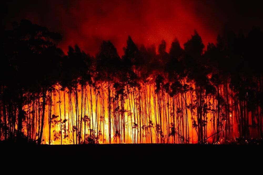 В Техасе бушуют лесные пожары
