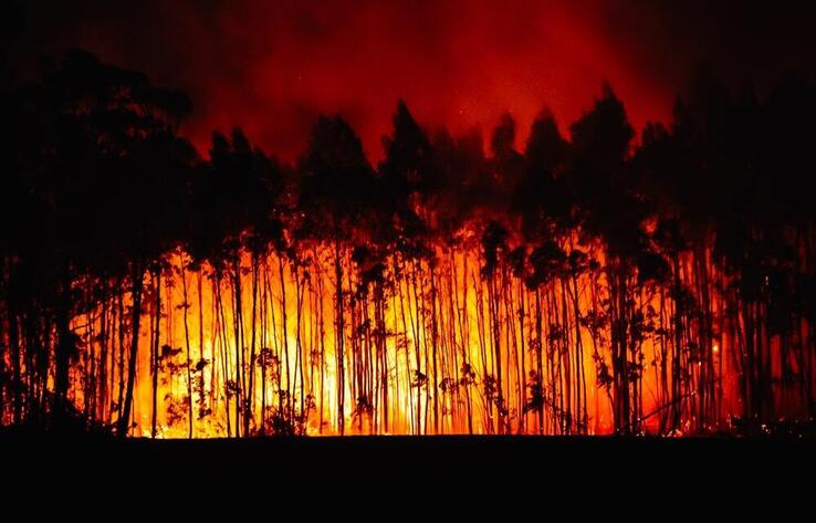 В Техасе бушуют лесные пожары