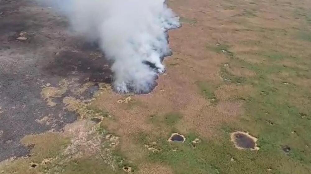 Пожар на побережье Каспия контролируют с помощью вертолета