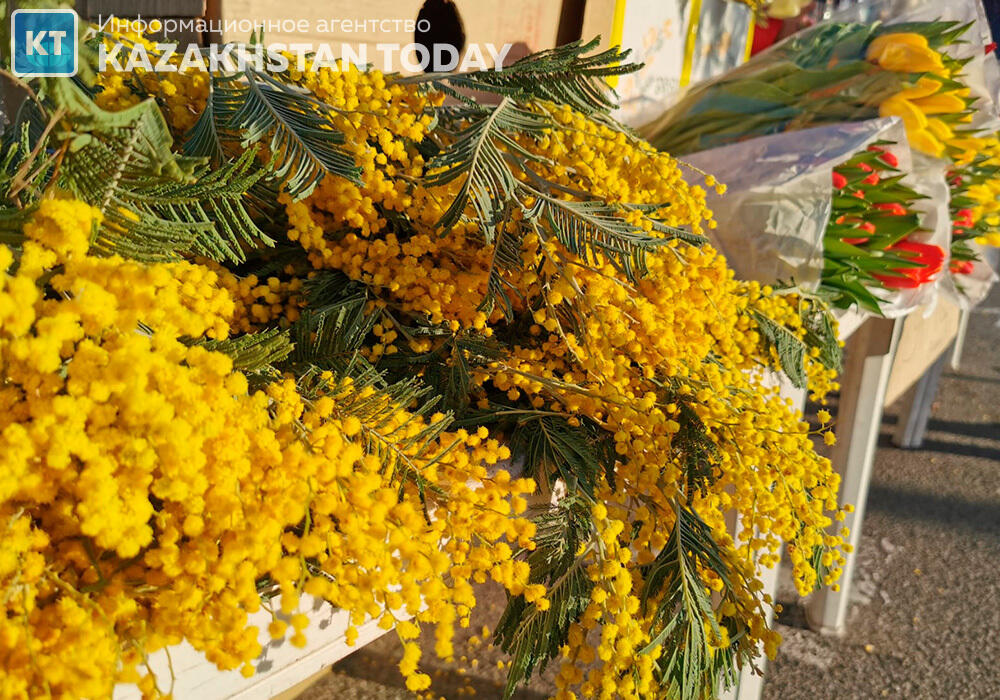 Цветы весны и женского праздника