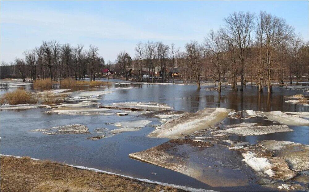 Паводки в Казахстане: в зоне риска 217 населенных пунктов и 10 регионов 