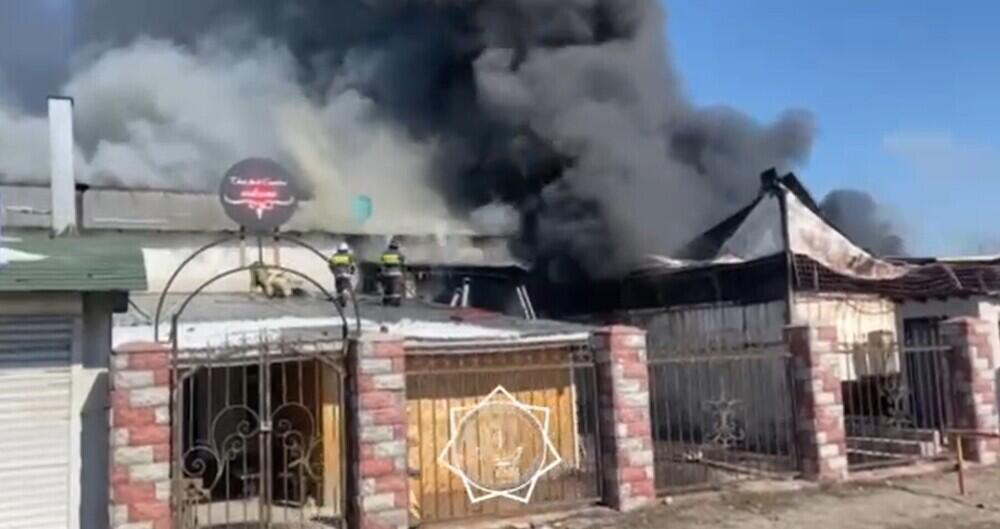 Крупный пожар тушат в Алматинской области