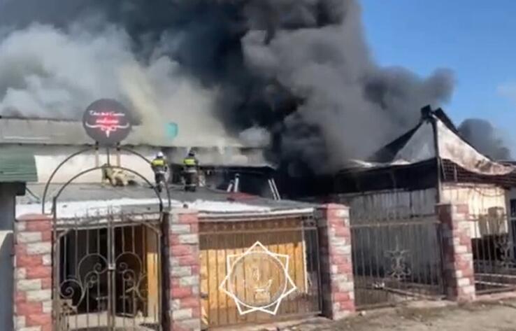 Крупный пожар тушат в Алматинской области
