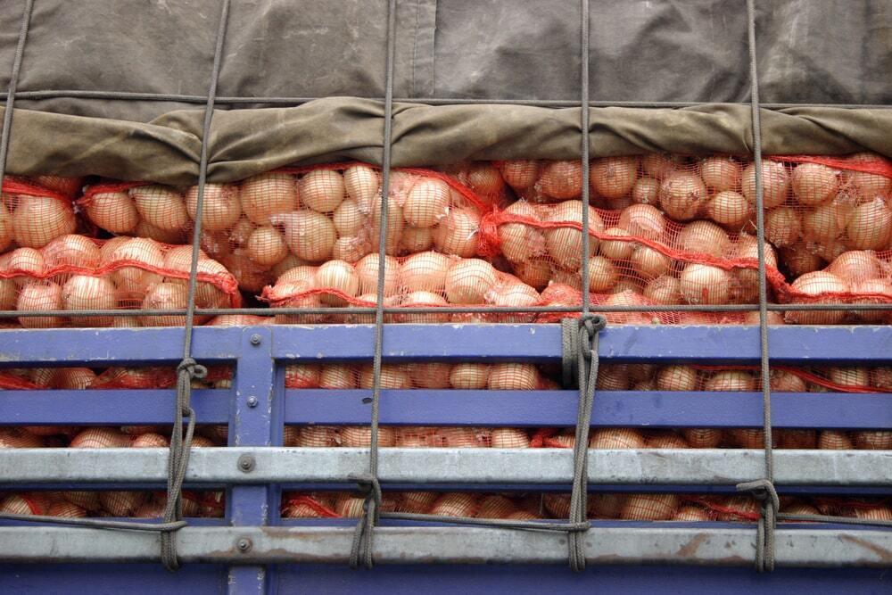 Перепроизводство лука: казахстанские фермеры не могут реализовать 160 тысяч тонн продукции