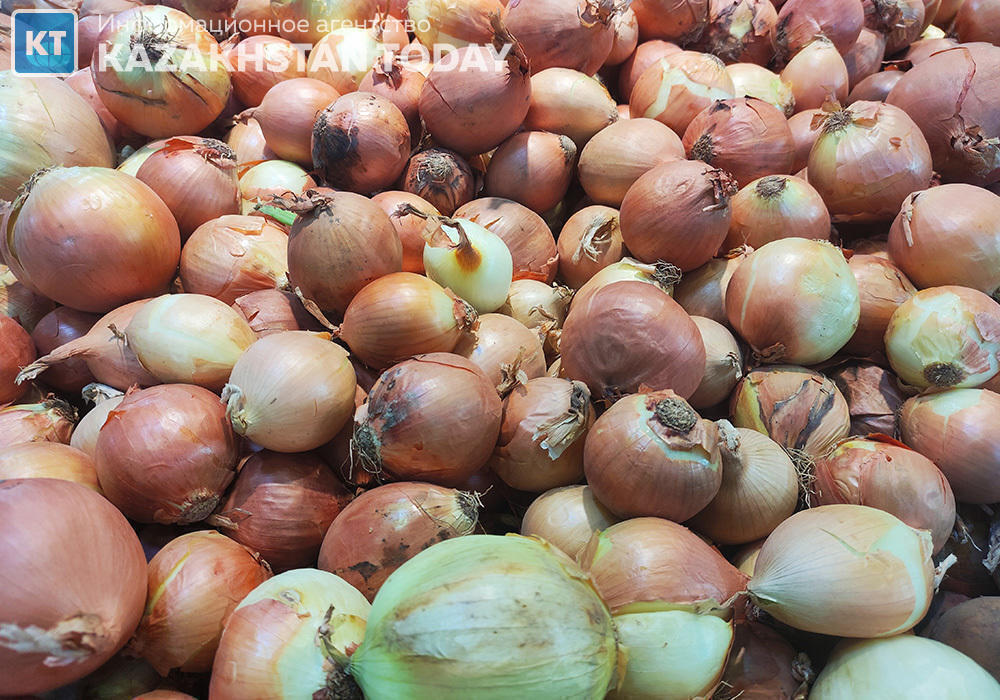 Глава Минсельхоза РК рассказал, как решается проблема реализации избыточных запасов лука