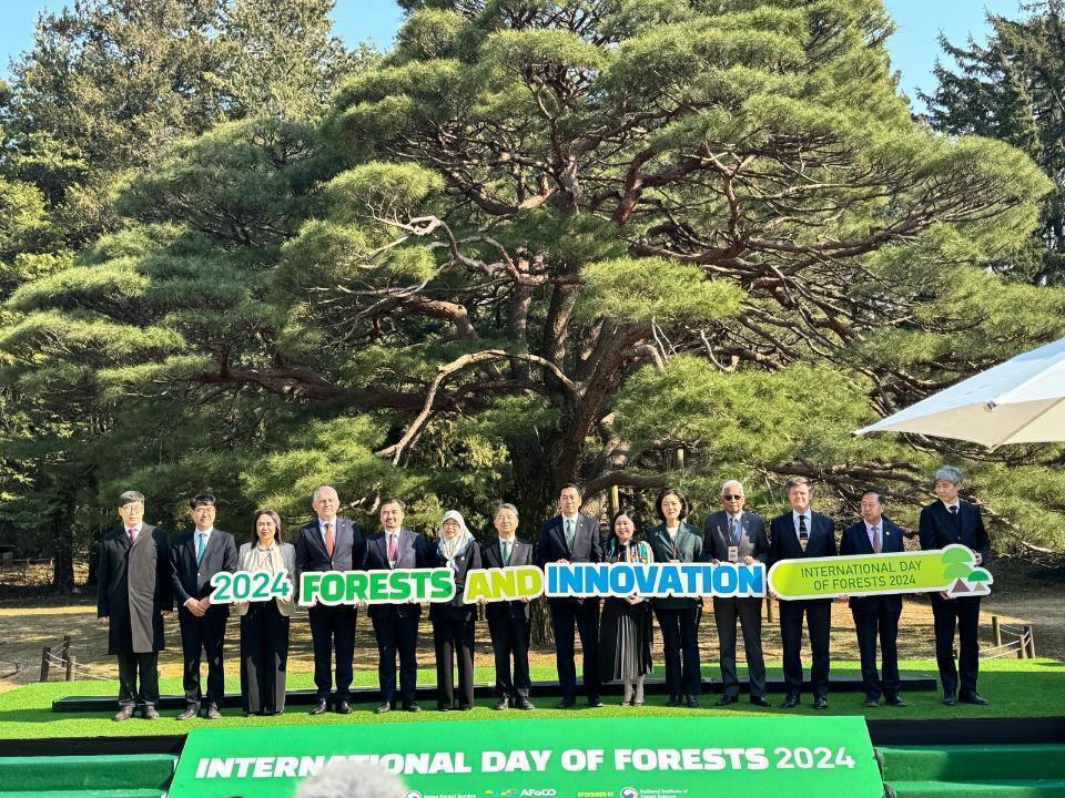 Cooperation in the Field of Forestry Between Kazakhstan and Korea is Deepening