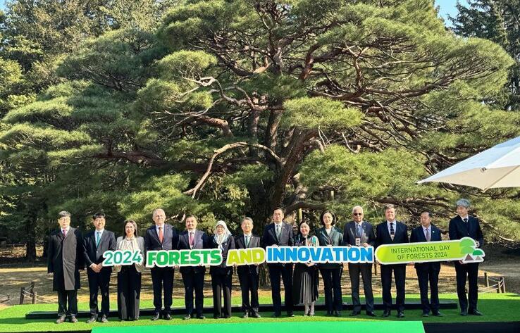 Cooperation in the Field of Forestry Between Kazakhstan and Korea is Deepening