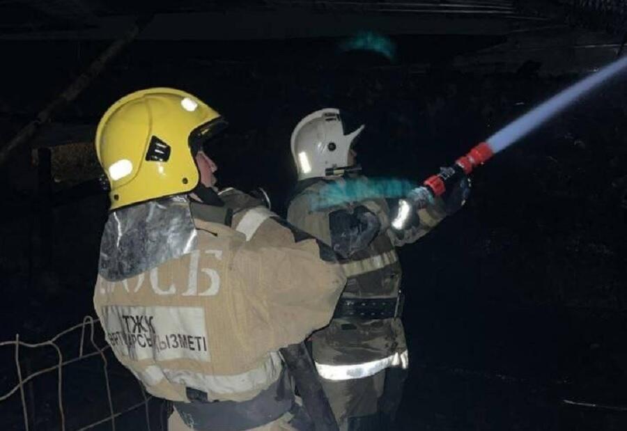 Жамбыл облысында болған өрт салдарынан 48 бас мал қырылып қалды 