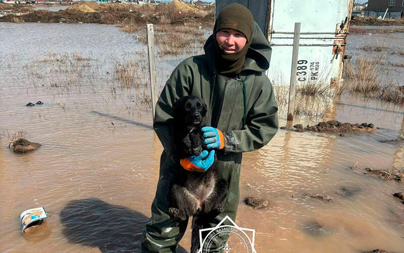 Су тасқыны апаты: Қазақстанда бұл 30 жылда алғаш рет болып отыр. Сурет: ҚР ТЖМ
