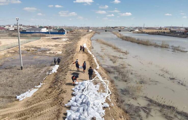 Governors of flood-hit regions report to President on current situation