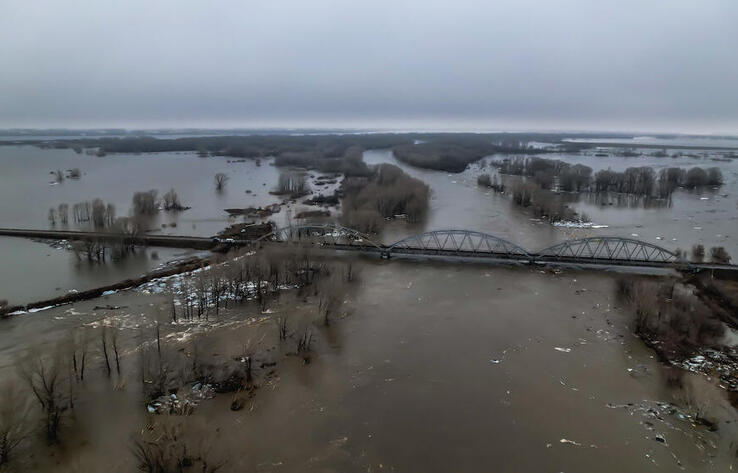 Floods in Kazakhstan: over 82,000 farm animals moved to safer places