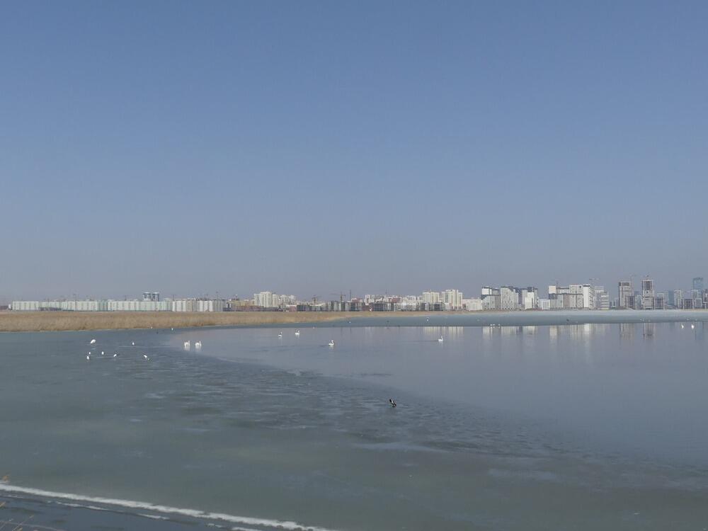 Трагедия Малого Талдыколя: перелетные птицы вернулись на то, что осталось от озера. Фото: Борис Оленев / facebook