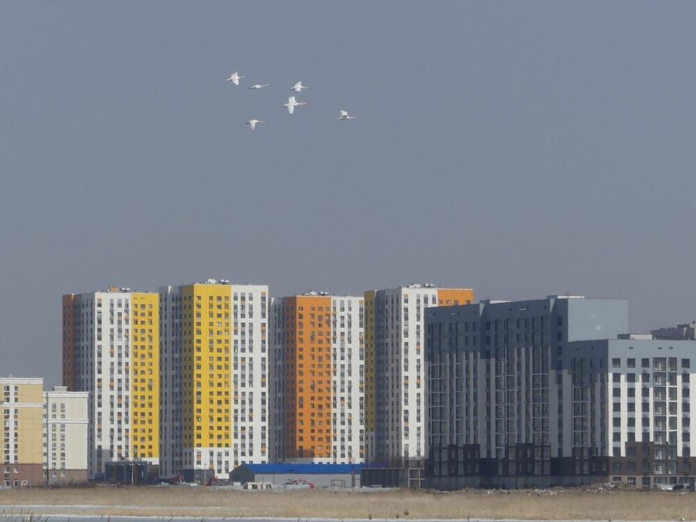 Трагедия Малого Талдыколя: перелетные птицы вернулись на то, что осталось от озера. Фото: Борис Оленев / facebook