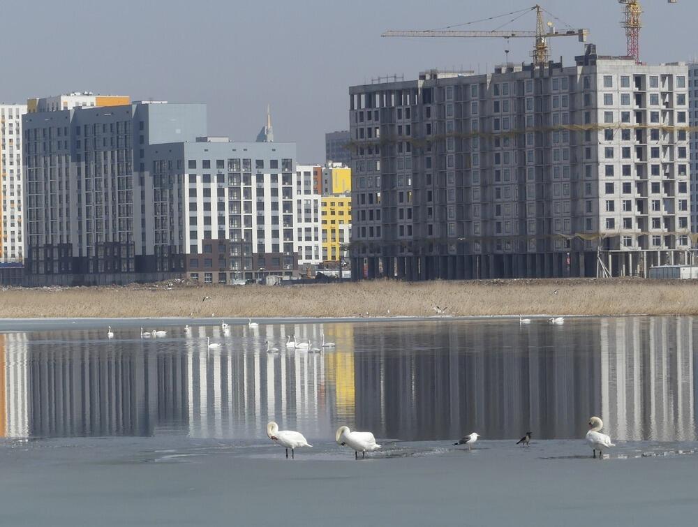 Трагедия Малого Талдыколя: перелетные птицы вернулись на то, что осталось от озера. Фото: Борис Оленев / facebook