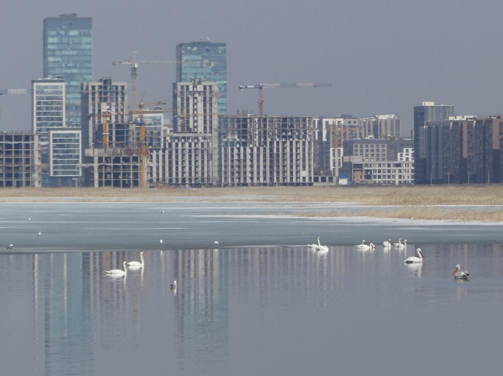 Трагедия Малого Талдыколя: перелетные птицы вернулись на то, что осталось от озера. Фото: Борис Оленев / facebook