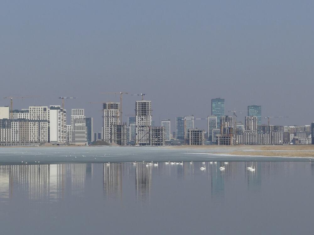 Трагедия Малого Талдыколя: перелетные птицы вернулись на то, что осталось от озера. Фото: Борис Оленев / facebook