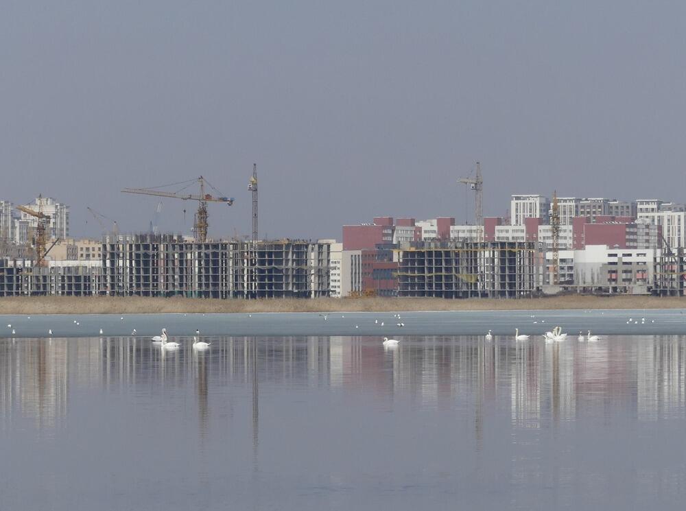 Трагедия Малого Талдыколя: перелетные птицы вернулись на то, что осталось от озера. Фото: Борис Оленев / facebook