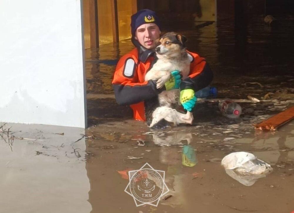 В пяти областях Казахстана остаются подтопленными более пяти тысяч домов