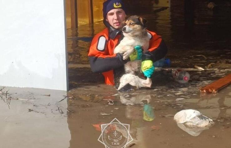 Қазақстанның бес облысында бес мыңнан астам үй су астында қалды